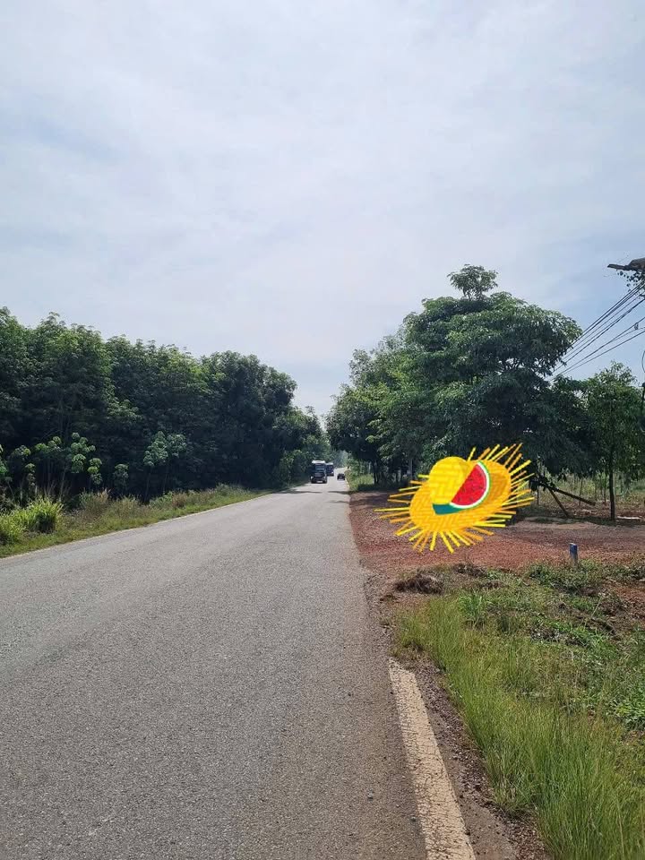 Đất nền An Long Phú Giáo 8000m² giá 8 tỷ - Đầu tư sinh lời ngay!