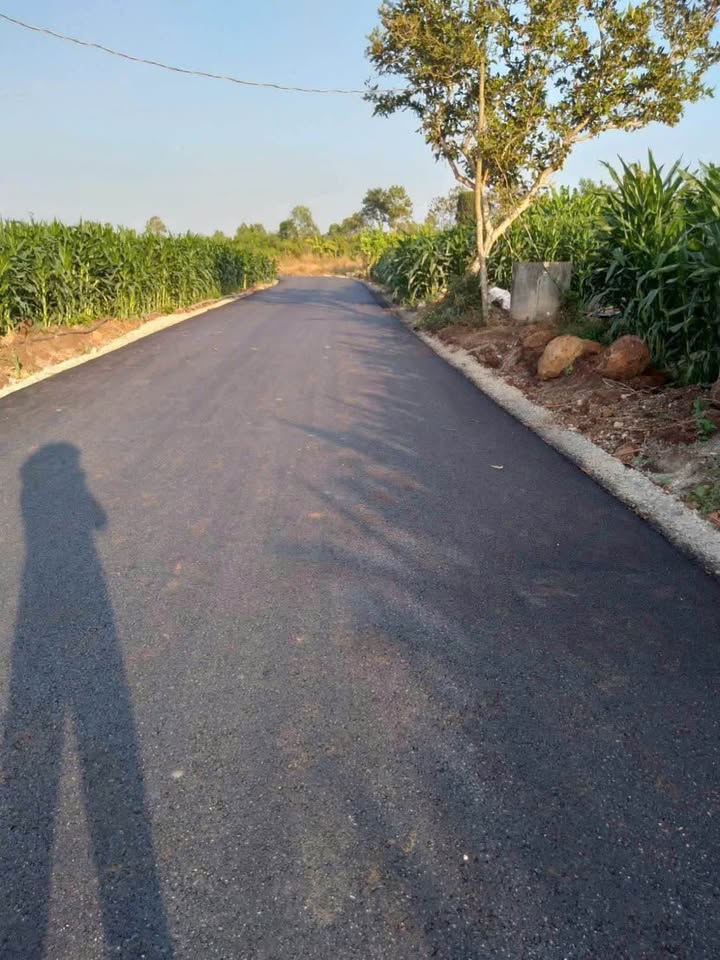 Đất nền Bình Giã, Châu Đức 2000m² chỉ 1.4 tỷ - Mặt tiền đường nhựa, sổ hồng riêng!