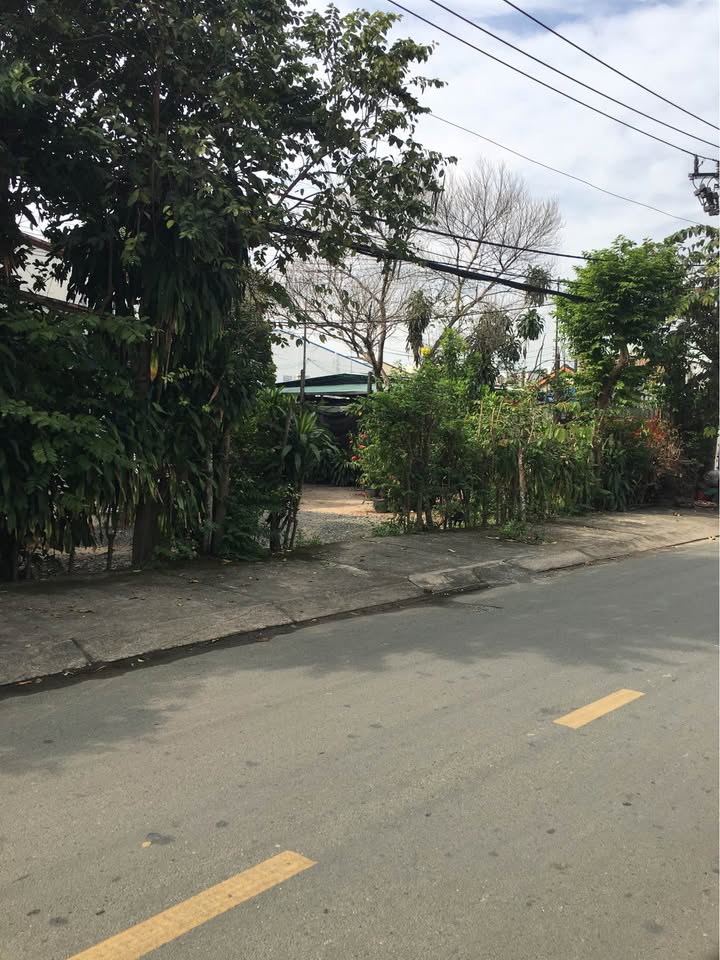 Đất mặt tiền đường Xuân Thới Thượng 1100m² giá 25 tỷ - Tiềm năng đầu tư lớn!