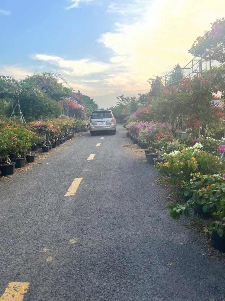 Đất nền phường Tân Quy Đông, TP. Sa Đéc 1500m² giá 3.5 tỷ - Đầu tư sinh lời tuyệt vời!