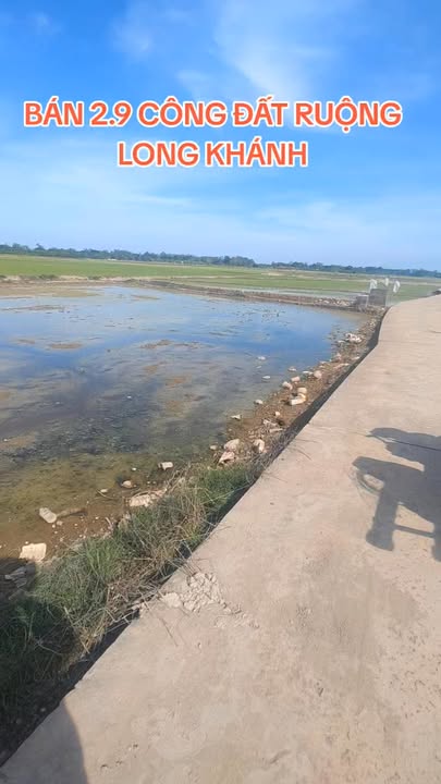 Đất ruộng 2900m² tại Xã Long Khánh B, Hồng Ngự - Giá chỉ 400 triệu!