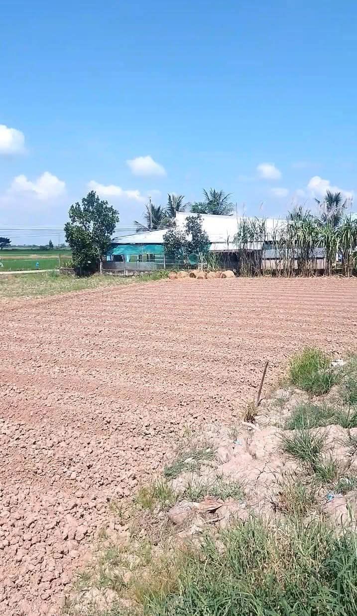 Đất nền Viên An Trần Đề 165m² giá 170 triệu - Đường lộ 3m, gần chợ!