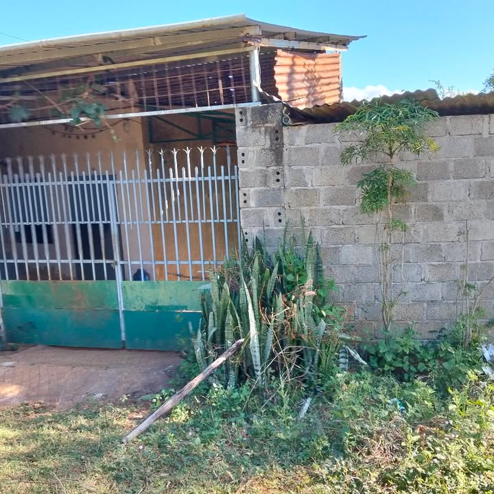 Farm 7000m² tại Ia Kha, Ia Grai giá 2,6 tỷ - Đầy đủ tiện nghi, mặt tiền đường lớn!