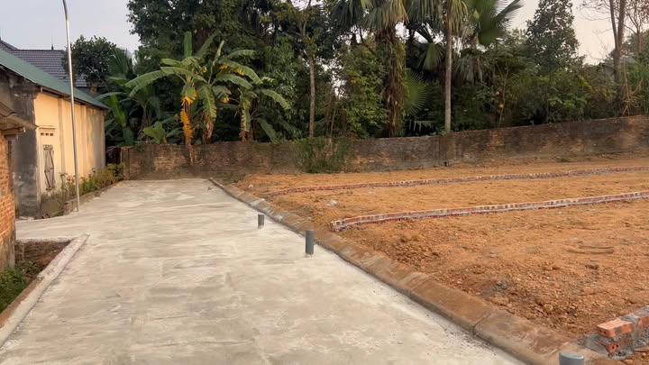 Đất thổ cư Hướng Đạo, Tam Dương 84m² chỉ từ 400 triệu - Cơ hội đầu tư hấp dẫn!