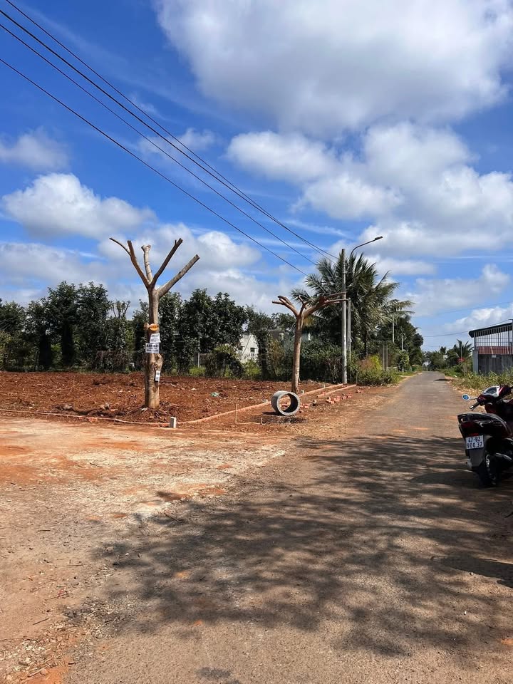 Đất liền kề mặt tiền B5, Tân Hòa, Buôn Ma Thuột 125m² - Giá tốt bớt lộc!