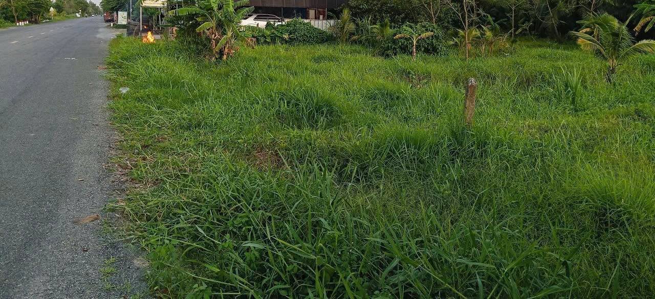 Đất nền mặt tiền HL173 Phong Nẫm 487m² giá 1.3 tỷ - Tiềm năng kinh doanh lớn!