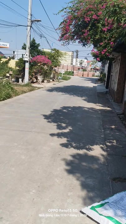 Đất thổ cư Ninh Giang 117.5m² giá chỉ 1 tỷ - Sổ đỏ chính chủ, sang tên nhanh!