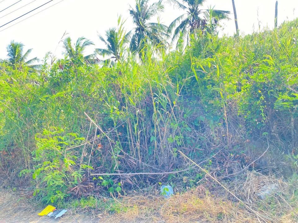 Đất vườn Vĩnh Trạch Bạc Liêu 210m² giá 360 triệu - Cơ hội đầu tư hấp dẫn!