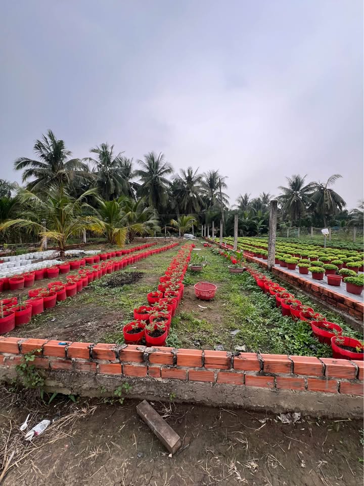 Đất nền thổ cư Mỹ Phong 140m² giá 560 triệu - Cơ hội đầu tư tuyệt vời!