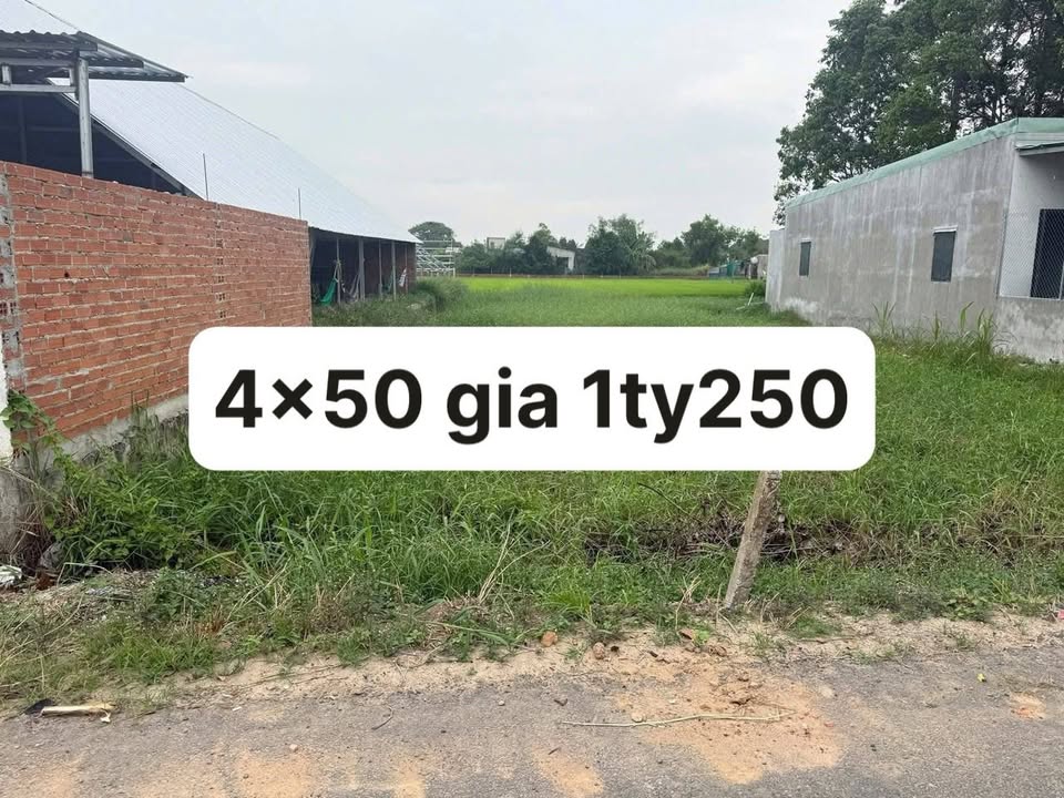 Bán đất mặt tiền đường 3 Tháng 2, Hậu Nghĩa 200m² - Vị trí siêu tiềm năng cho kinh doanh!