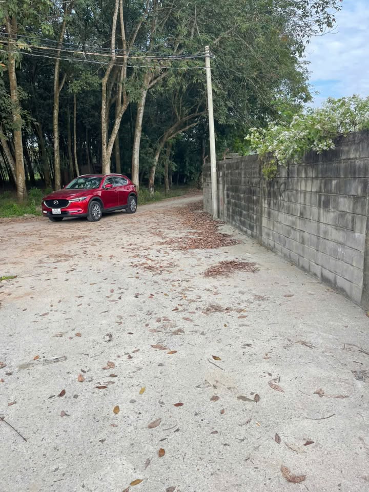 Đất thổ cư Bến Cát 60m² giá chỉ 8xx triệu - Vị trí đắc địa gần Vành Đai 4!