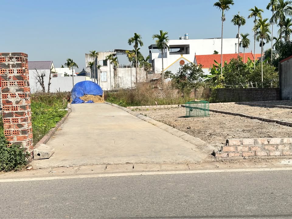 Lô đất Thủy Nguyên 56.8m² giá 1.1 tỷ - Vị trí đắc địa, thuận tiện đầu tư!