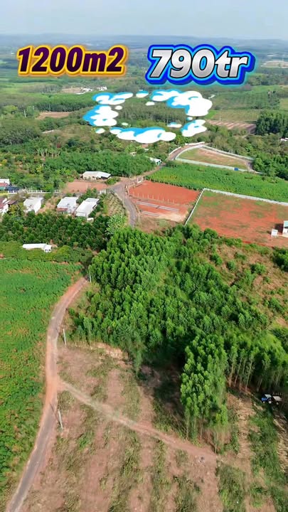 Đất nền Hồ Tràm 1200m² giá chỉ 790 triệu - Cơ hội đầu tư hấp dẫn!