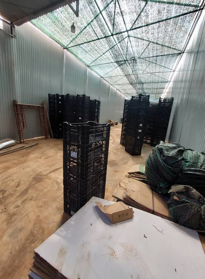 Cho thuê mặt bằng 175m² mặt tiền đường Vạn Thành, Đà Lạt - Phù hợp làm kho, xưởng!