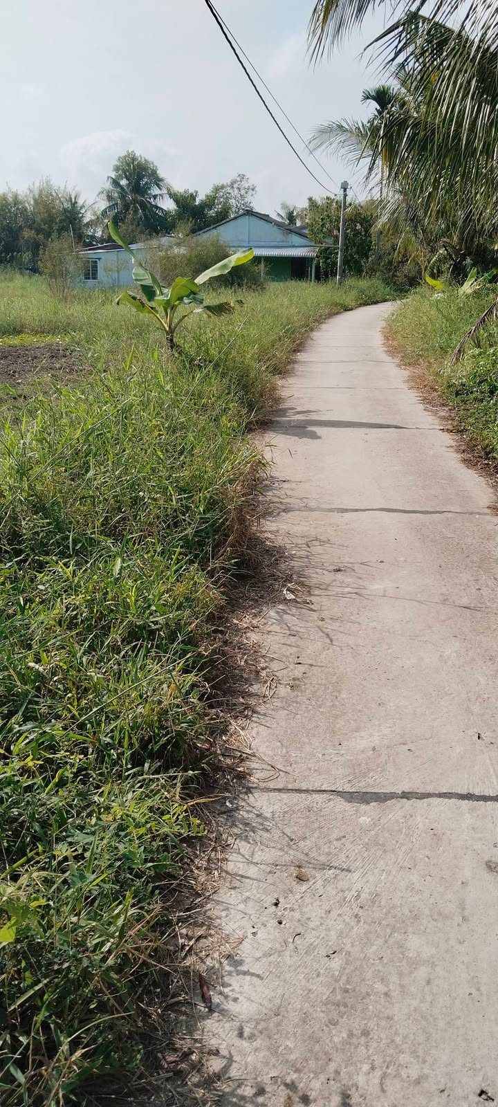 Đất thổ cư Vĩnh Quới Ngã Năm 600m² giá 438 triệu - Mặt tiền sông, xe ô tô vào tận nơi!