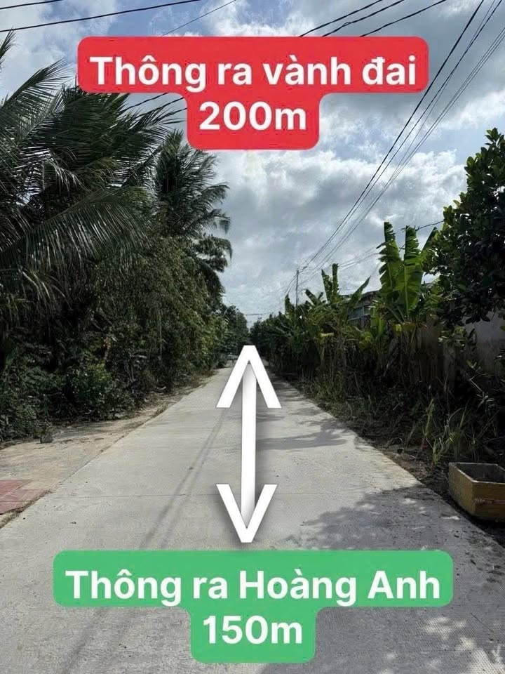 Đất thổ cư đường Hoàng Anh, Tân Khánh 299.4m² chỉ 1.85 tỷ - Sổ hồng chính chủ!