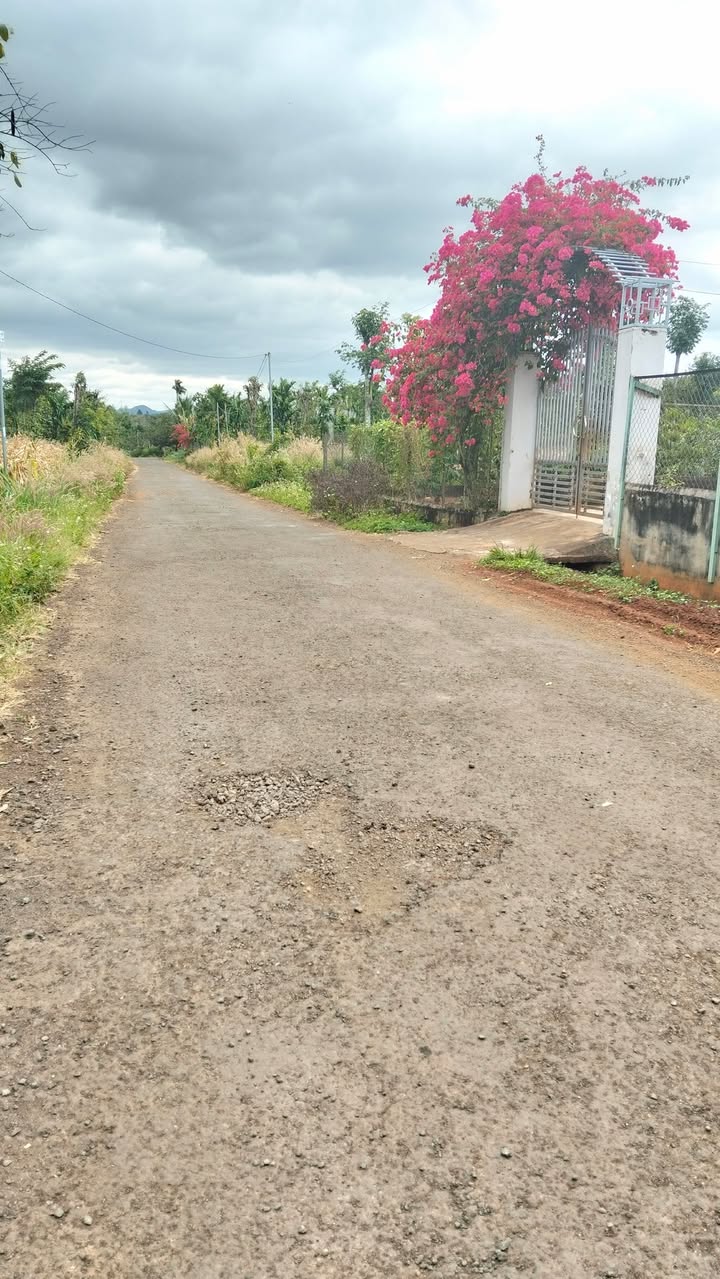 Đất nền Hòa Xuân BMT 125m² giá chỉ 698 triệu - Đầu tư sinh lời ngay!