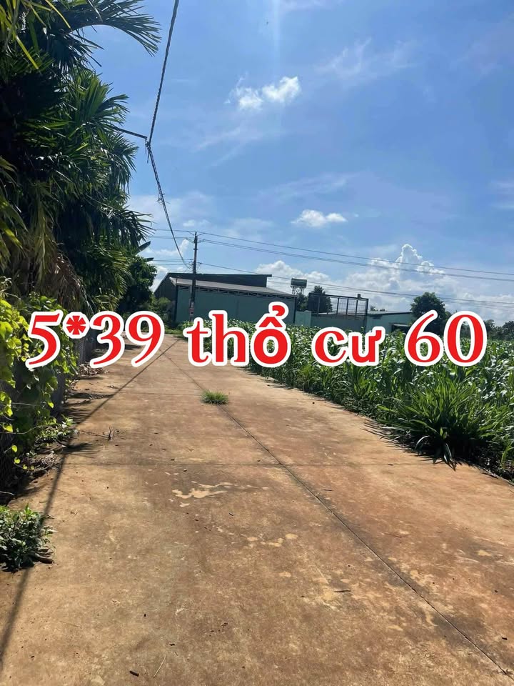Đất thổ cư Hẻm Cấp 1, xã Cư Suê, 195m² giá 565 triệu - Đầu tư sinh lời lý tưởng!