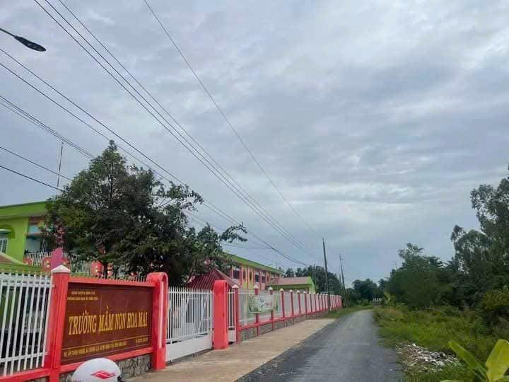 Đất nền giá rẻ 120m² tại xã Thành Lợi, huyện Bình Tân - Sổ hồng chính chủ, giá chỉ 290 triệu!