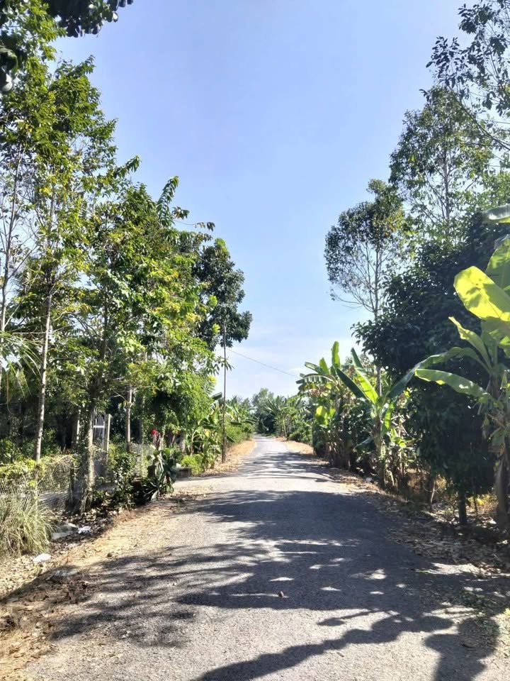 Đất nền chính chủ phường Đông Thành, Vĩnh Long 570m² giá 490 triệu - Xây dựng ngay!