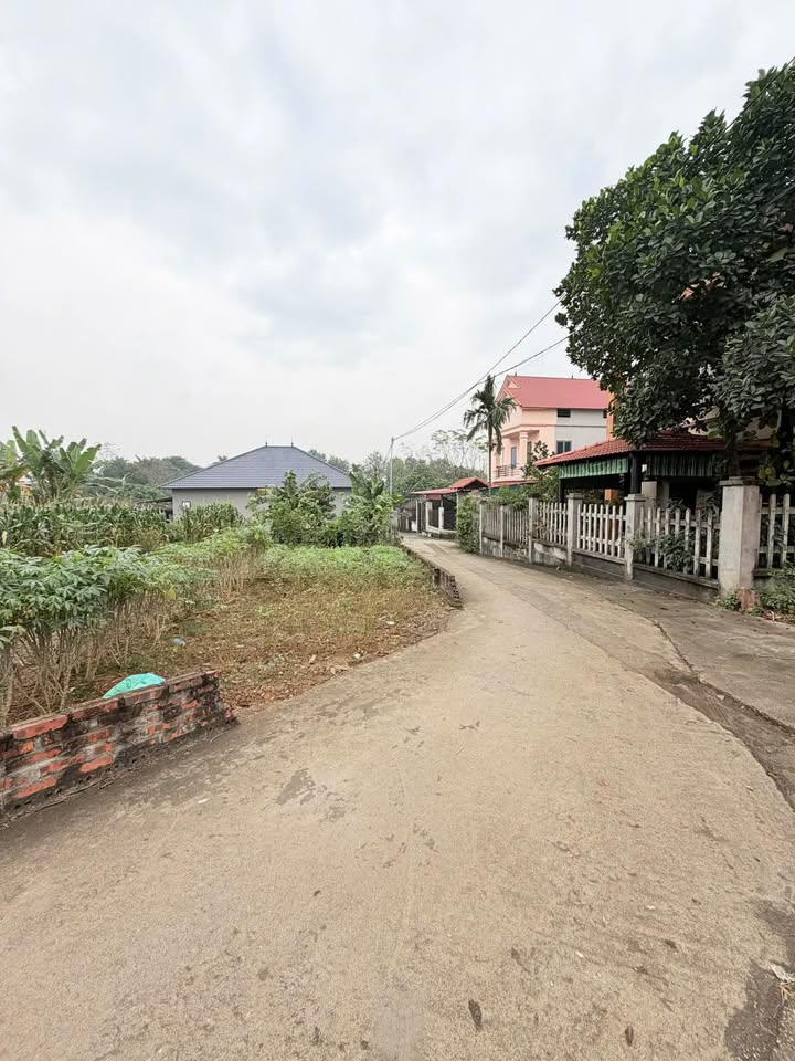 Đất nền lô góc 2 mặt tiền thôn Đình Thanh Vân, 88m² giá 800 triệu - Cơ hội đầu tư vàng!