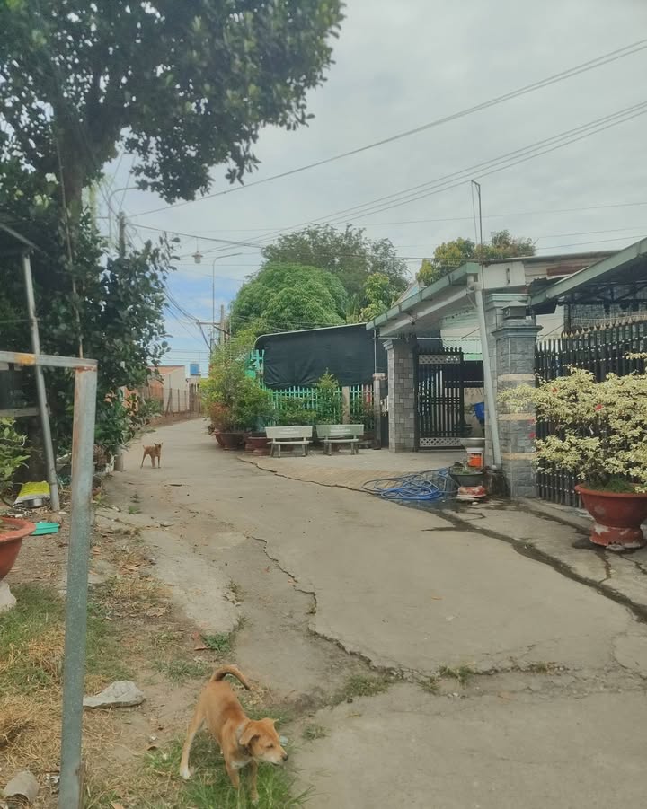 Nhà trọ An Điền, Bến Cát 324m² giá 2.9 tỷ - Đầu tư sinh lời ngay!