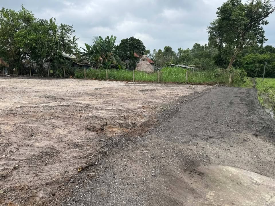 Đất thổ cư 240m² Thôn Thạch Trụ Tây, Mộ Đức - Giá chỉ 395 triệu!