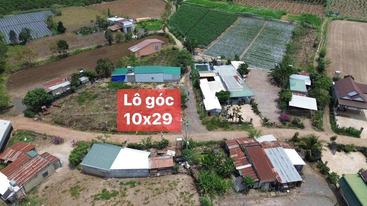 Đất thổ cư lô góc Tân Hội 2900m² giá 1.25 tỷ - Đầu tư sinh lời nhanh!
