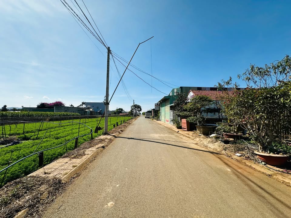 Đất nền Liên Nghĩa, Đức Trọng 114m² giá 1,6 tỷ - Sổ hồng chính chủ, công chứng ngay!