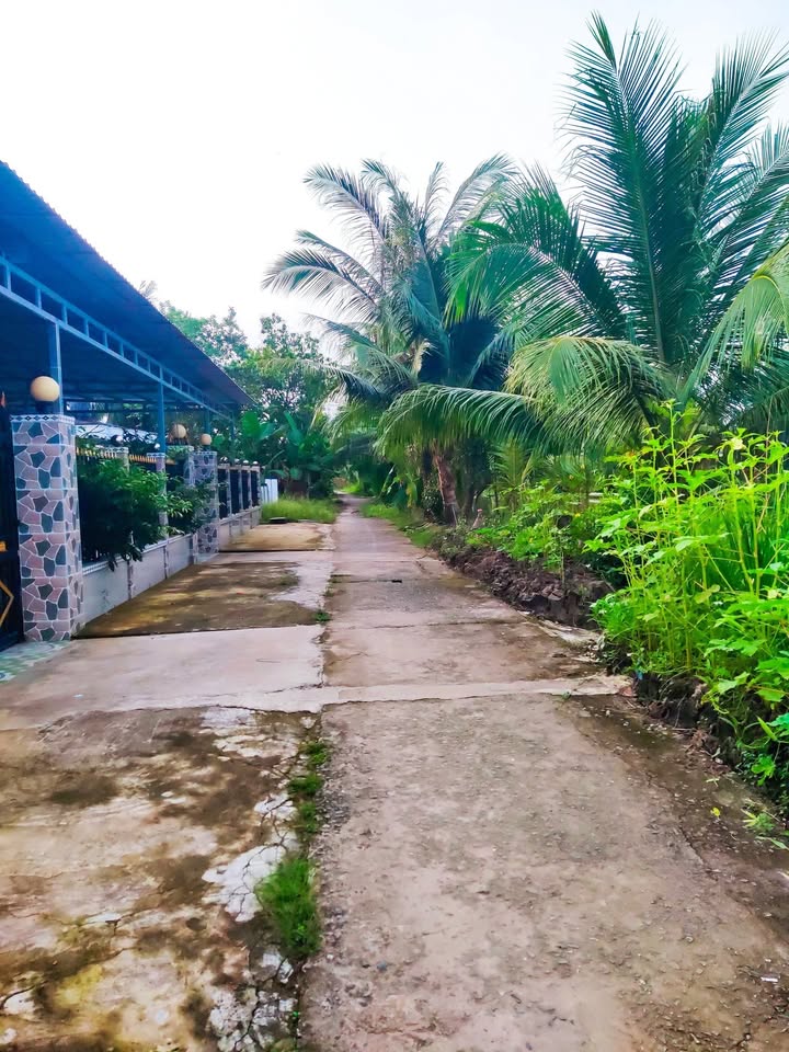 Đất nền có nhà sẵn tại Tân Tiến, Vị Thanh, 315m² giá 430 triệu - Cơ hội đầu tư hấp dẫn!