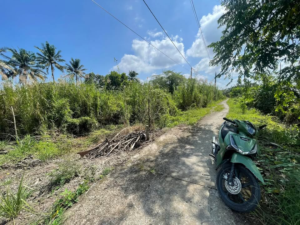 Đất nền 170m² tại phường Đại Thành, Ngã Bảy - Giá 200 triệu, thương lượng nhẹ!