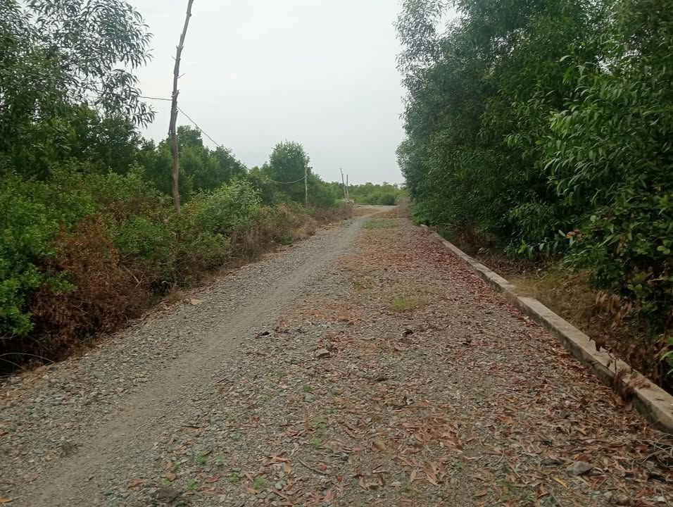 Đất nền hẻm 7 đường Phước Thắng, Vũng Tàu 100m² giá 320 triệu - Cơ hội đầu tư hấp dẫn!