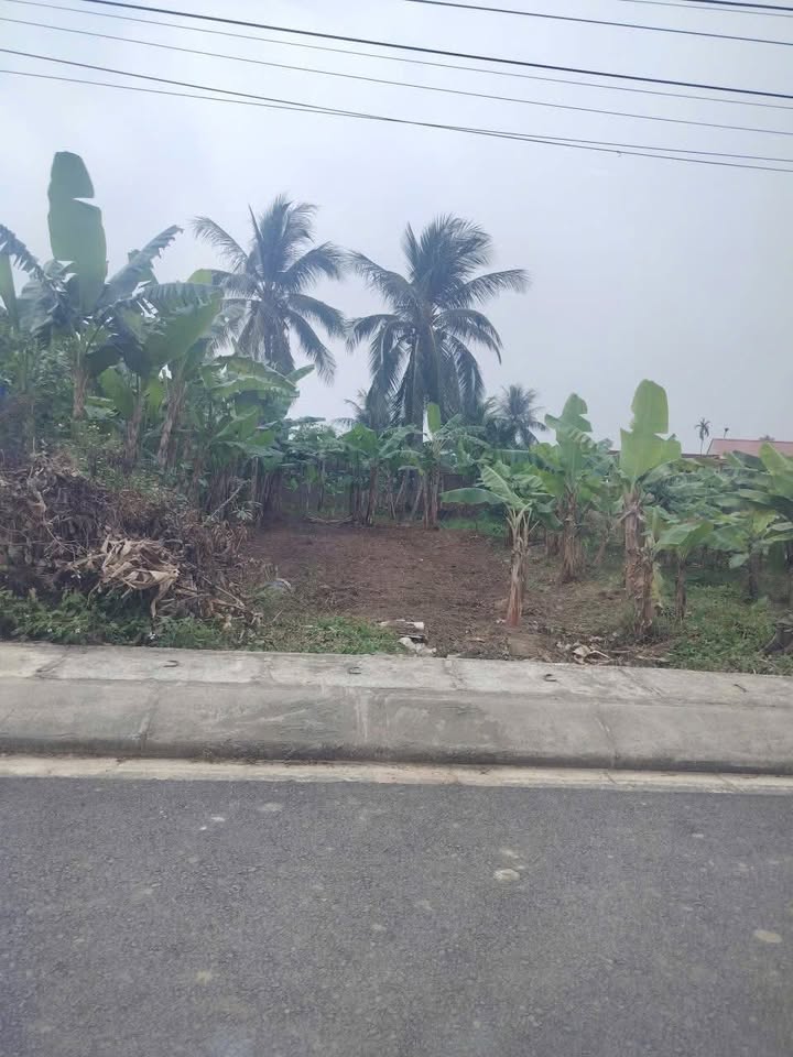 Đất nền Trục nhựa Đông Nham Kiến An 118m² giá 1.4 tỷ - Cơ hội đầu tư hấp dẫn!