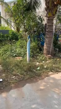 Đất nền 115m² tại ấp 2, Long Thọ, Nhơn Trạch - Giá chỉ 500 triệu!