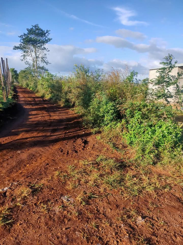 Lô rẫy Bờ Ngoong, Chư Sê 9782m² giá 2.1 tỷ - Đầu tư sinh lời hấp dẫn!