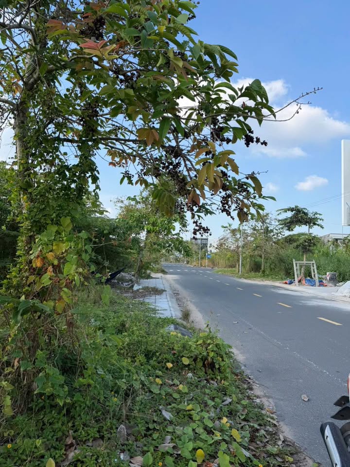 Đất nền KDC Phường 6, Cao Lãnh 90m² giá 1.3 tỷ - Tiềm năng tăng giá cao!