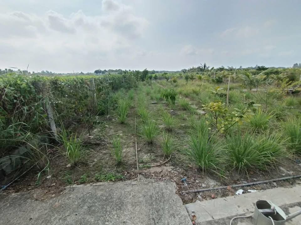 Đất mặt tiền đường Lâm Thị Chi Rạch Giá 1500m² giá 3 tỷ - Đầu tư ngay hôm nay!