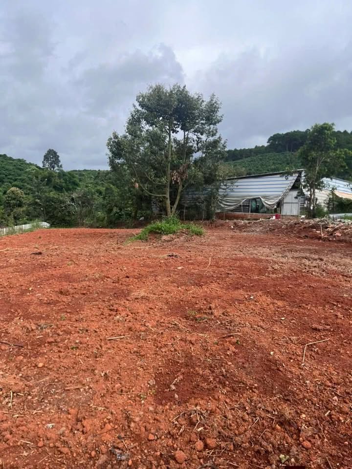 Đất nền xã Nam Ban Lâm Hà 576m² chỉ 1.05 tỷ - Cách DT 725 chỉ 900m!