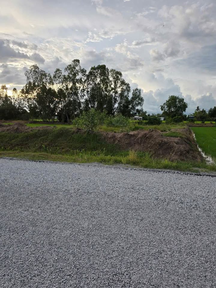 Đất thổ cư Châu Thành An Giang 1034m² giá 145 triệu - Đầu tư sinh lời ngay!