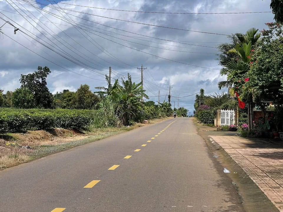 Đất 2 mặt tiền đường Tứ Quý, Lộc An, Bảo Lâm 196m² chỉ 1.8 tỷ - Cơ hội hiếm có!