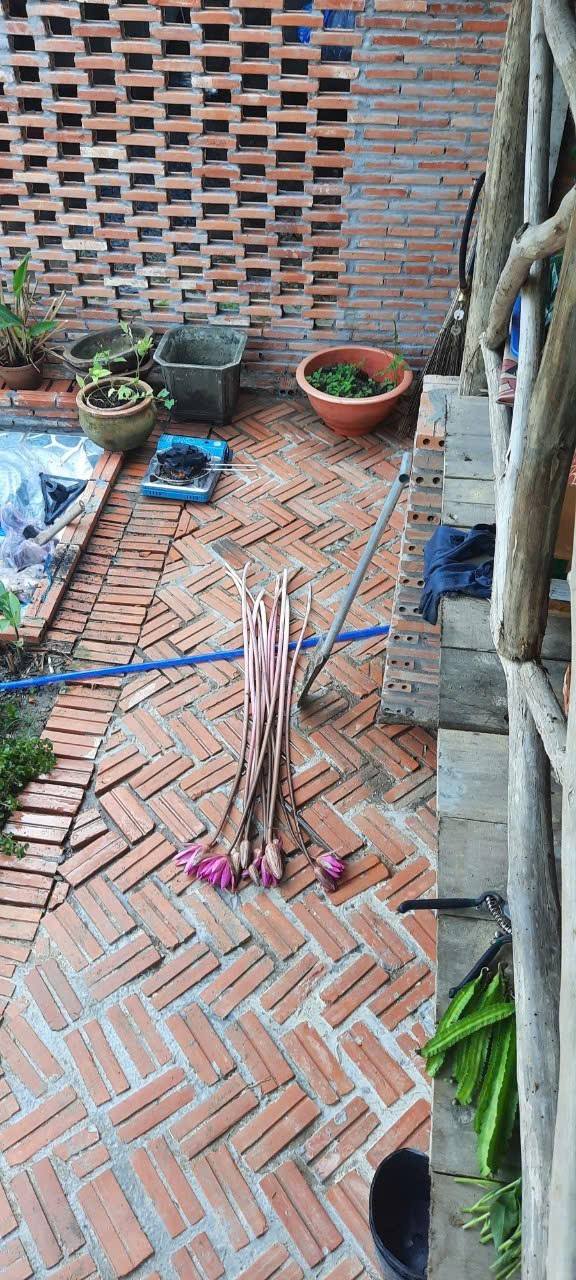 Đất vườn Vĩnh Khánh, Thoại Sơn 2136m² - Giá chỉ 1.5 tỷ, cơ hội đầu tư tuyệt vời!