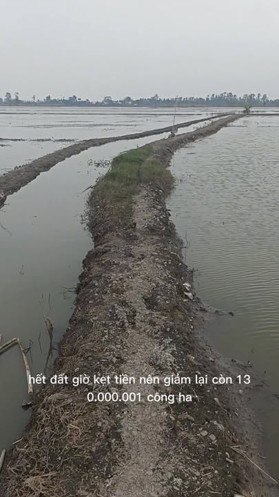 Đất ruộng 1.900m² xã Kiến An, Chợ Mới - Chính chủ, giá 247 triệu