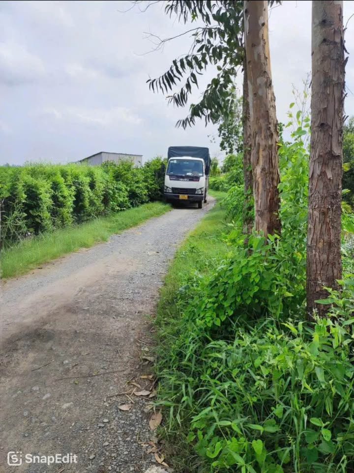 Đất vườn mặt tiền 111m tại xã Long Điền, Chợ Mới, An Giang - Giá 1,3 tỷ, pháp lý sổ hồng