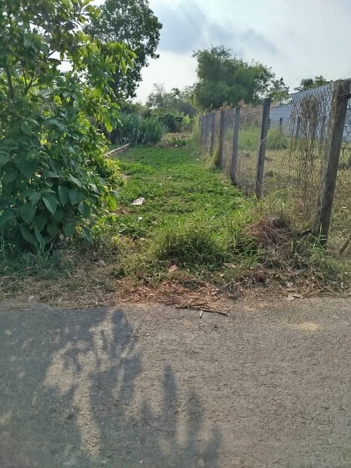 Đất mặt tiền đường nhựa tại Châu Thành, Trà Vinh 122m² - Bán gấp giá chỉ 430 triệu!