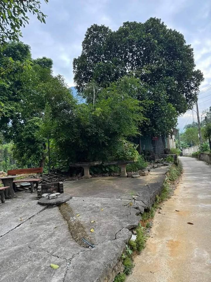 Đất thổ cư tại Nguyễn Trãi, Hà Giang 139m² - Giá thỏa thuận, vị trí thuận lợi!