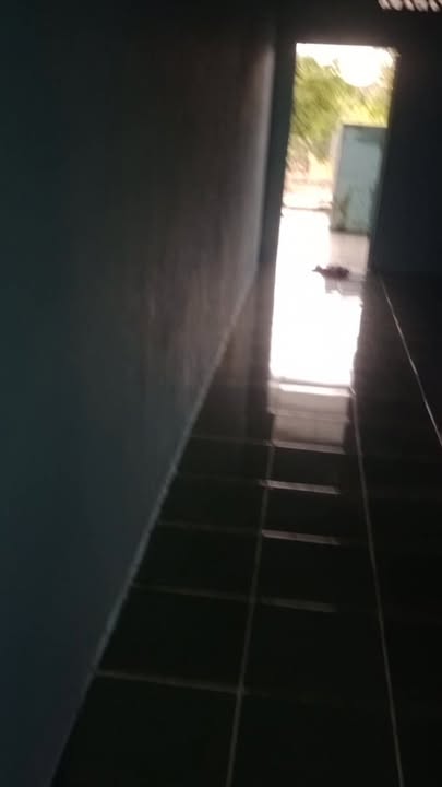 Nhà riêng ấp 8, Tân Thành, Đồng Xoài 210m² giá chỉ 800 triệu - Sẵn sàng vào ở!