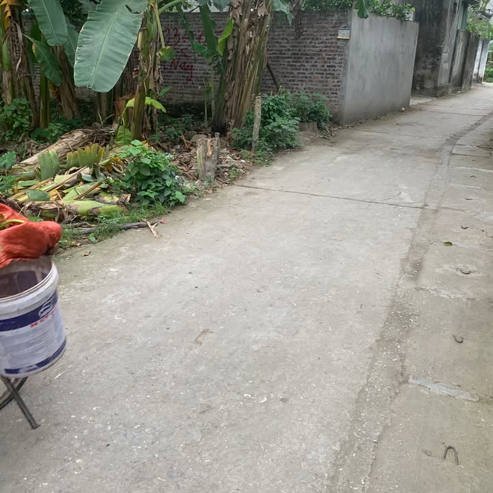 Đất 65m² tại Phượng Đồng, Chương Mỹ - Ô tô vào tận nơi chỉ 3 tỷ!