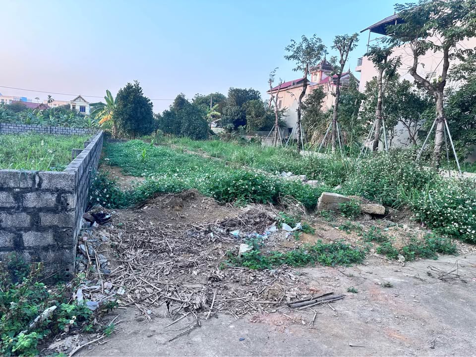 Đất nền Khu Tái Định Cư Văn Mỹ - Trần Phú 120m² giá 2 tỷ - Đầy đủ tiện ích, đầu tư sinh lời!