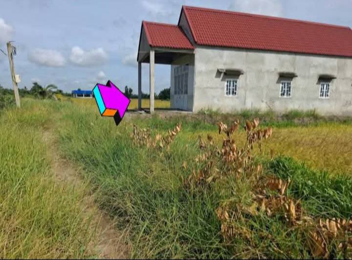 Đất lúa 3700m² Hòa Khánh Nam, Đức Hòa - Giá chỉ 1.55 tỷ, đầu tư sinh lời!