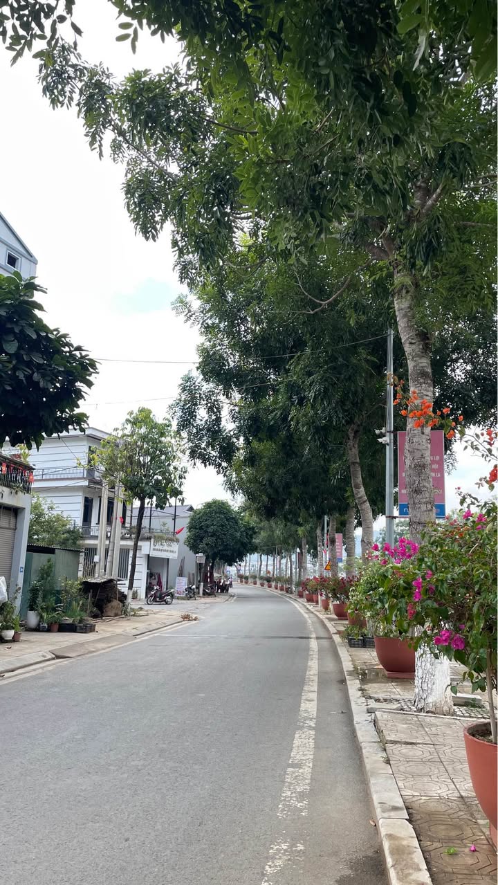 Đất mặt kè 6B khu dân cư Bản Cọ, phường Chiềng An, 65m² - Giá siêu hấp dẫn 1.4 tỷ!